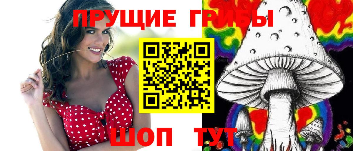 Черняховск  Псилоцибиновые грибы ЛСД  Вход с VPN 